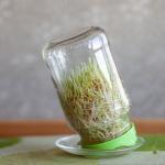 2V2Khj05 T0Sb0Ax4 Istock 1433830662 | Natural Yield
