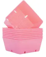 Bootstrap Farmer 5x5 Trays Extra Strength Inserts | Deep - Image 24