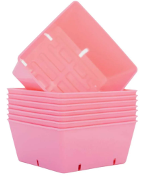 3Vqn9I5N H33Leazz Bsf Insert Pink | Natural Yield
