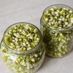 6Jlnowgk O9Zdtead Istock 1466478083 | Natural Yield