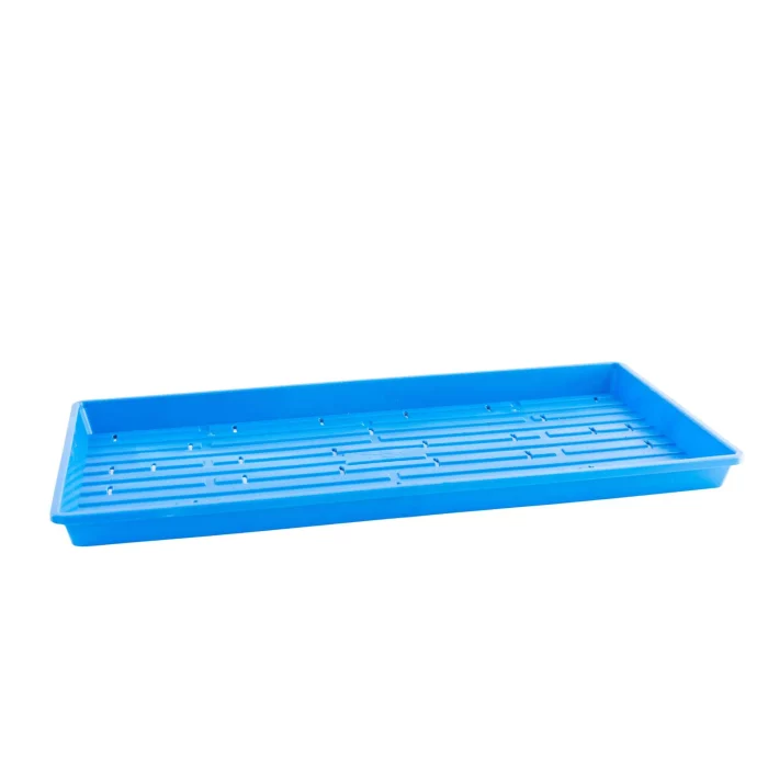 1020 Shallow Blue With Holes