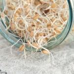 Enpzugw5 Wabivudn Istock 1463377513 | Natural Yield