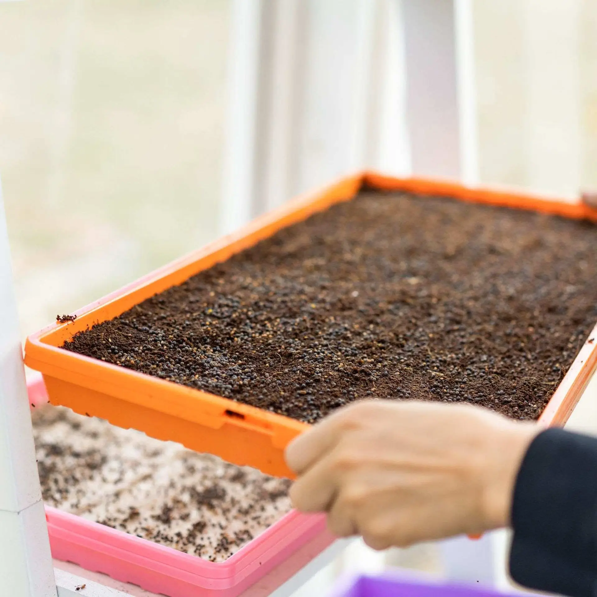 Bootstrap Farmer Tray