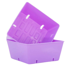 Vvnsqvdv Cetev1Ft Bsf Insert Purple | Natural Yield