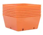 Bootstrap Farmer 5x5 Trays Extra Strength Inserts | Deep - Image 20