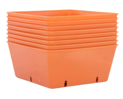Wxijt3Xl Gjxd9Hoi Bsf Insert Orange | Natural Yield