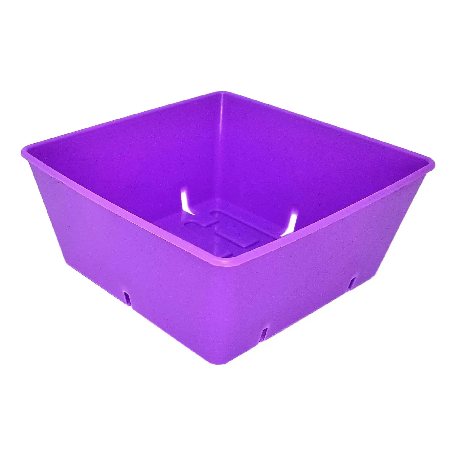 Ypboxn8O-5X5_Trays_Colored_Purple_2000X Bootstrap Farmer 5X5 Trays Extra Strength Inserts | Deep | Rainbow Pack - Image 6