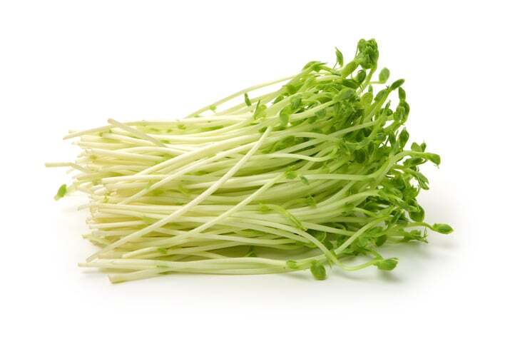 Pea Microgreen Nutrition Fact Sheet | Natural Yield Pea Microgreen Seeds, Pea Seeds