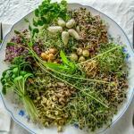 Istock 806304338 1 1 | Natural Yield
