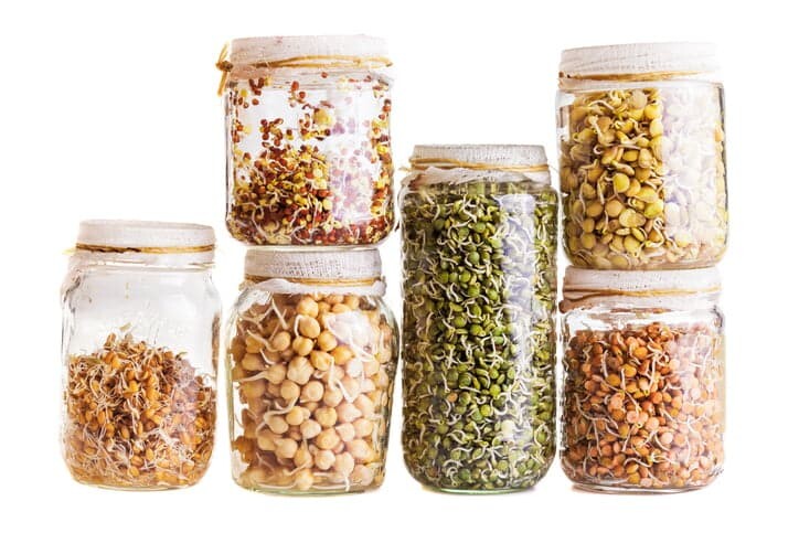 Other Sprouting Resources | Natural Yield Lq2Gqwib G0Yymkso Lhueuxhg Istock 504102317 | Natural Yield