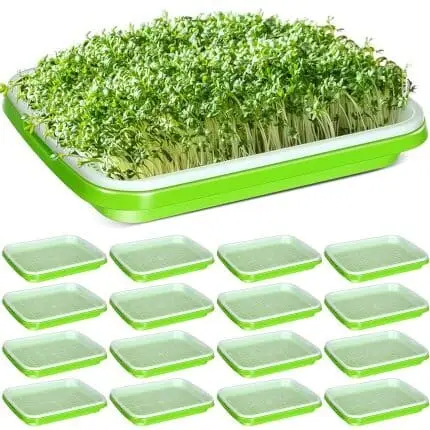 Sprout Kit, Seed Sprouter Tray With Drain Holes, Seed Sprouter Tray, Seed Sprouter