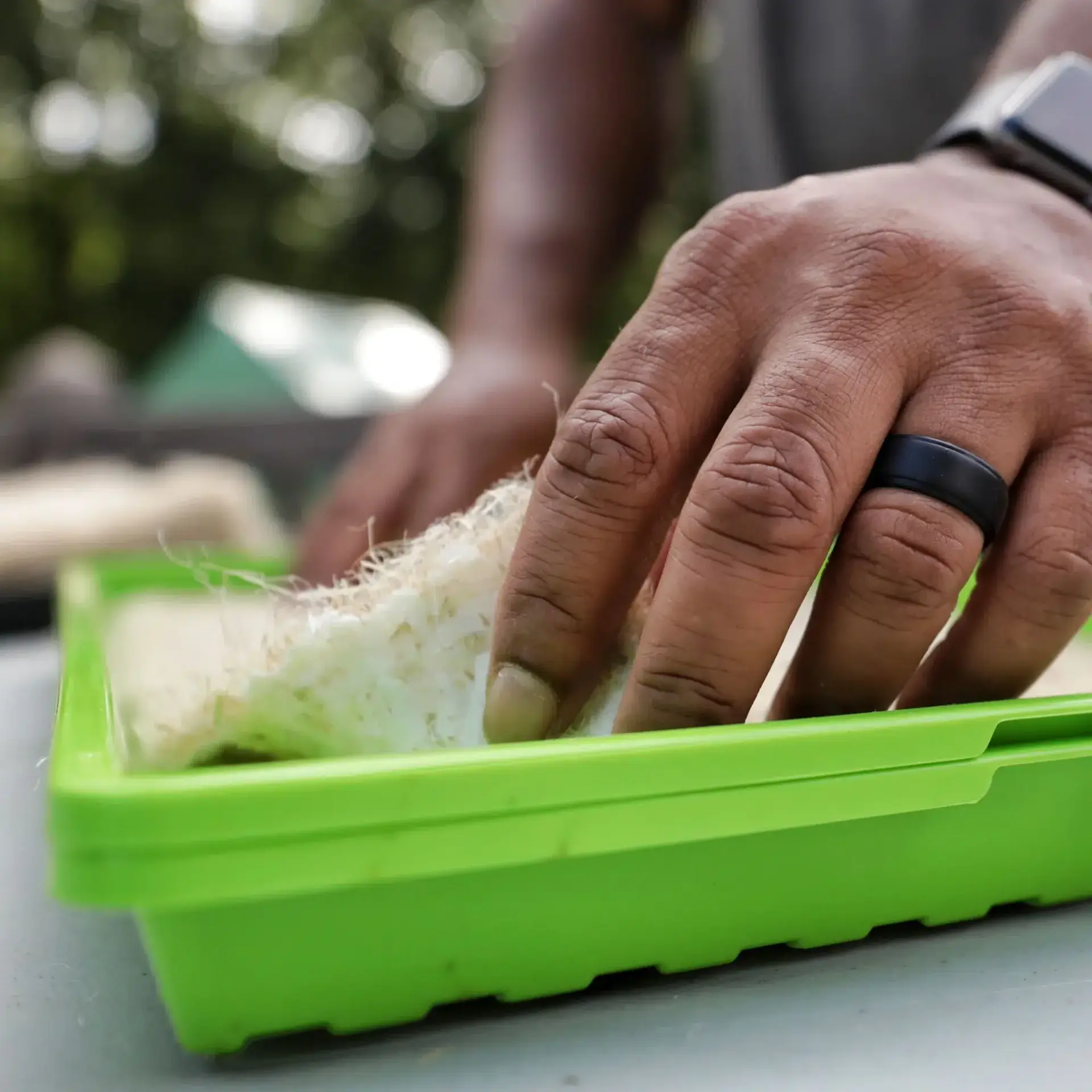Hemp Grow Mats For 1020 Trays | 10 Mats - Image 5