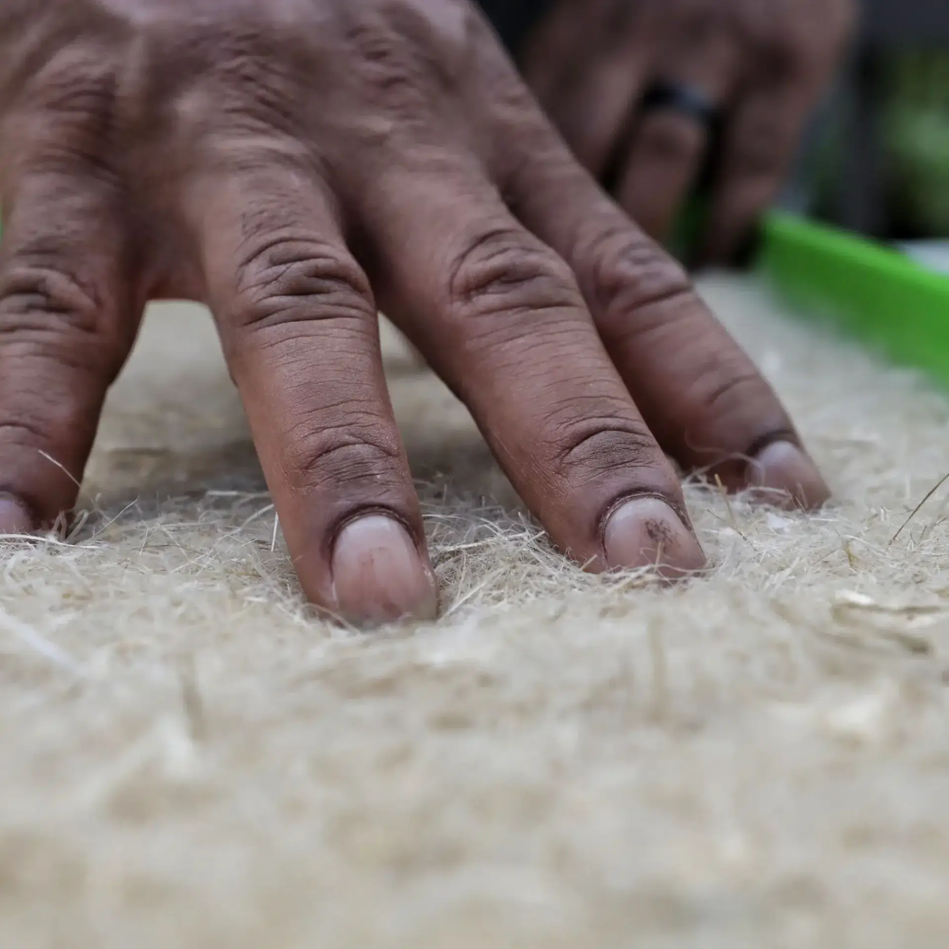 Hemp Grow Mats For 1020 Trays | 10 Mats - Image 2