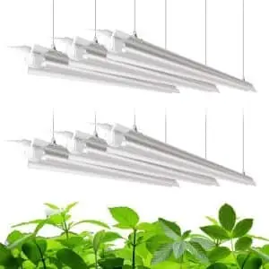 Barrina Grow Light