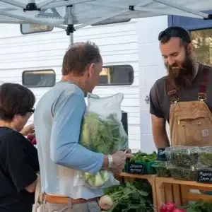 Local Farming