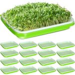 sprout kit, Seed Sprouter Tray with Drain Holes, Seed Sprouter Tray, Seed Sprouter