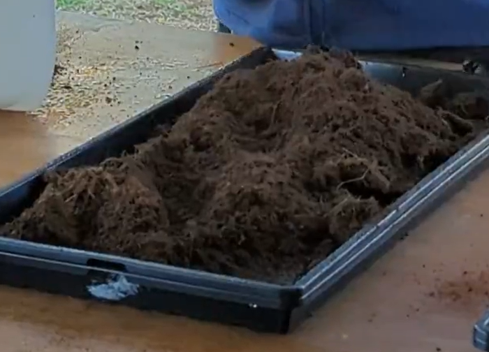 MICROGREEN COIR