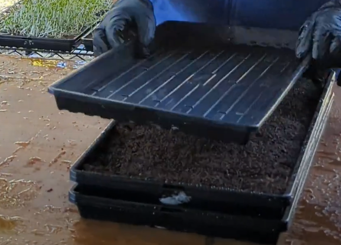 MICROGREEN RACKING AND STACKING