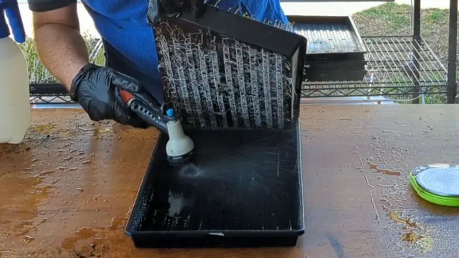 Microgreen Bottom Watering