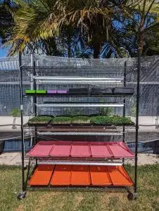 NATURAL YIELD GROW RACK
