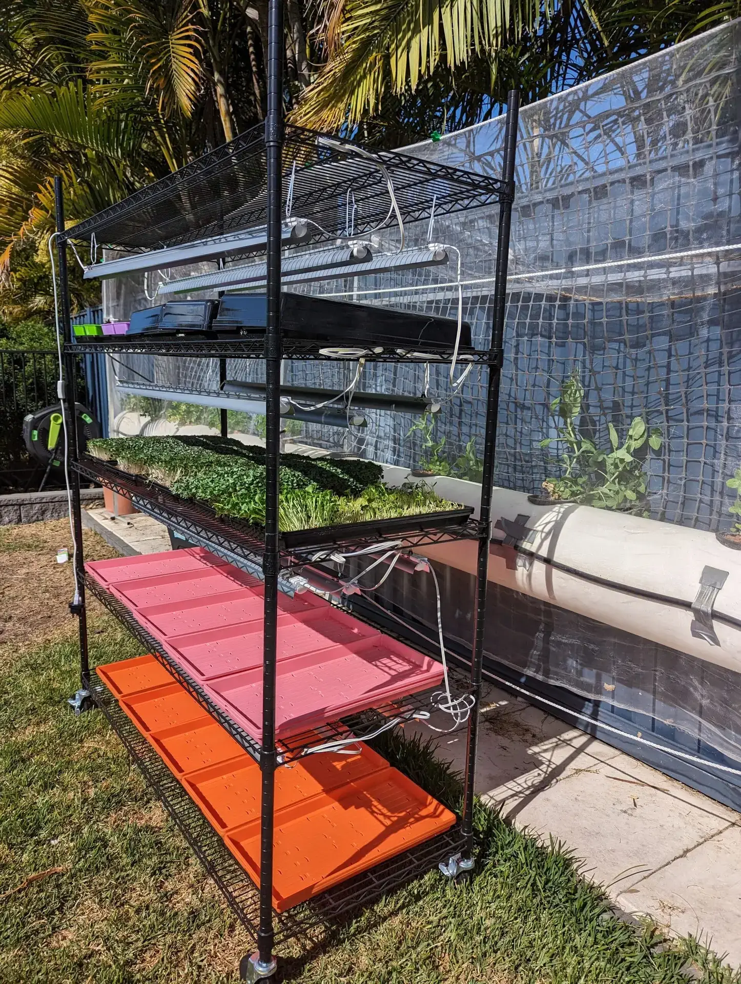 Sowing, Growing And Harvesting Microgreens Demonstration | Natural Yield Natural Yield Grow Rack
