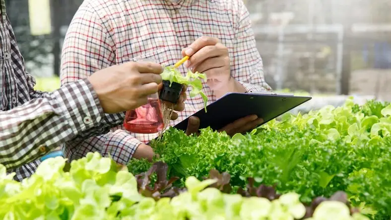 Microgreen And Hydroponic Consulting Services